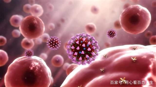 螺旋板式换热器